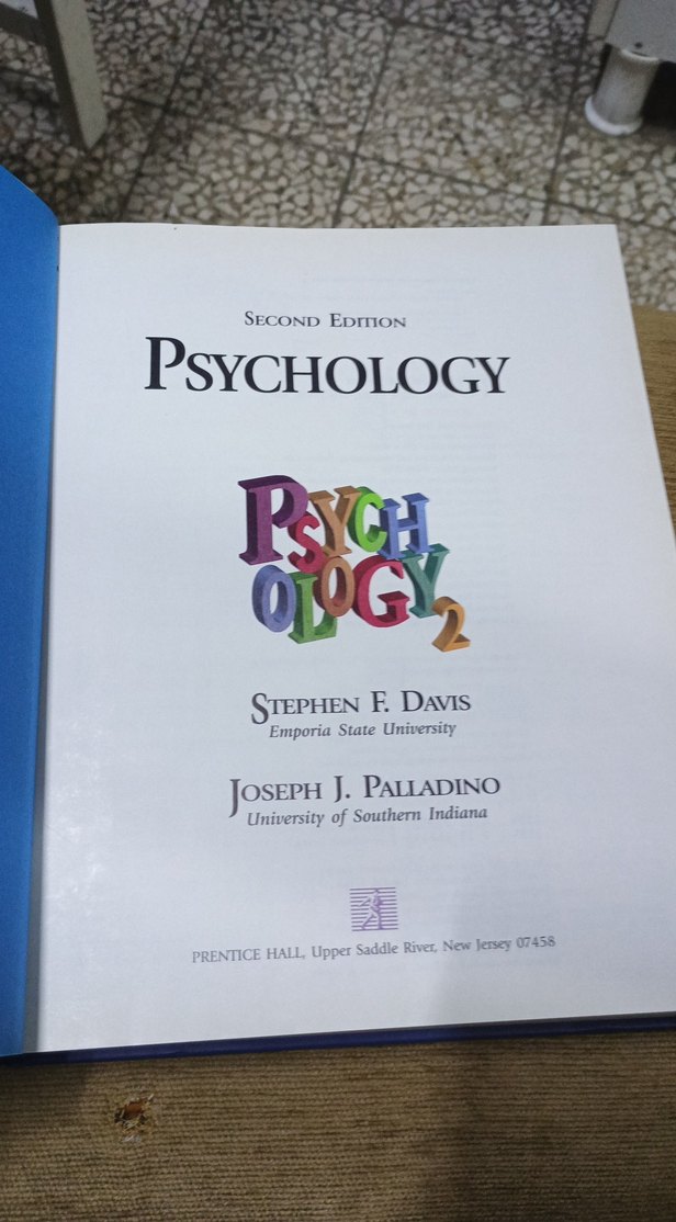 Psyghology  2 - Davis Palladino - Görsel 2