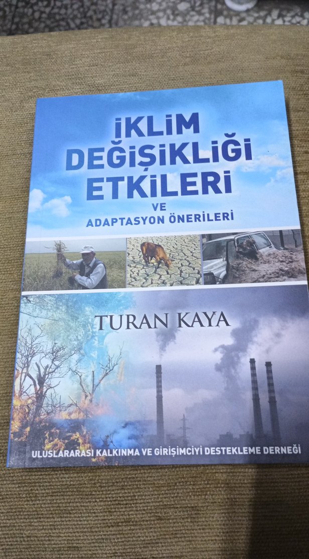 Psyghology  2 - Davis Palladino - Görsel 5