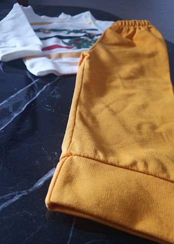 Dinozor Baskılı İkili Bebek Takım - Görsel 3