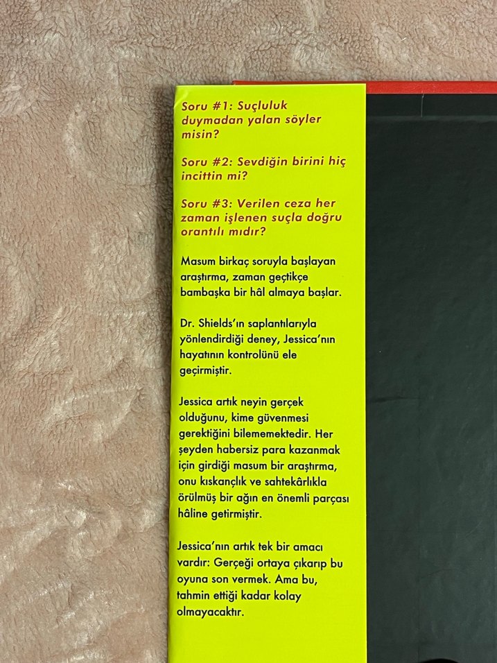 Greer Hendricks & Sarah Pekkanen - İsimsiz Kız - Görsel 3