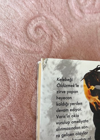 Beyza Aksoy- Kelebeği Öldürmek ve Kül Kelebek
Karton Kapak - Görsel 8