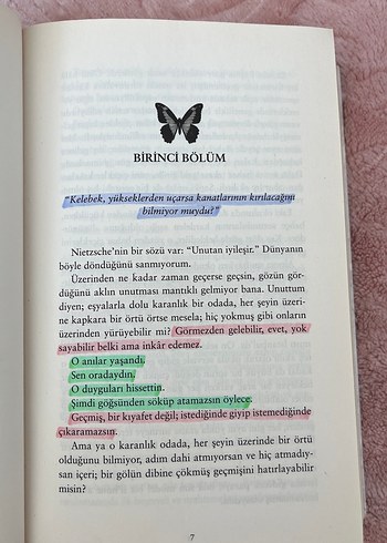 Beyza Aksoy- Kelebeği Öldürmek ve Kül Kelebek
Karton Kapak - Görsel 5