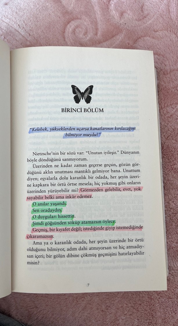 Beyza Aksoy- Kelebeği Öldürmek ve Kül Kelebek
Karton Kapak - Görsel 5