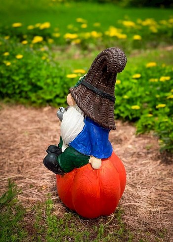 Kabak Üzerinde Şapkalı Bahçe Cini Figürü - Görsel 5