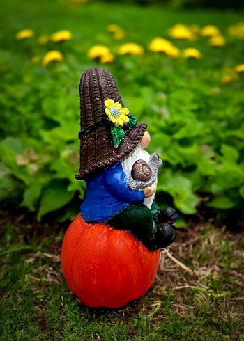 Kabak Üzerinde Şapkalı Bahçe Cini Figürü - Görsel 4