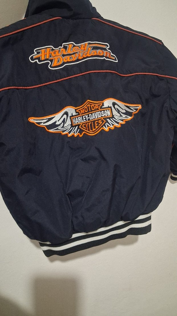 Erkek Çocuk Mavi Biker Fermuarlı Mont - Görsel 3