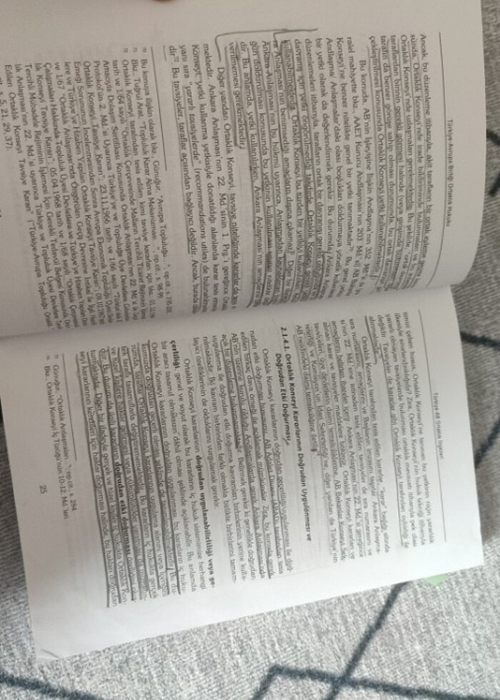 Türkiye -Avrupa Birliği Ortaklık Hukuku  Kamuran Reçber  - Görsel 3