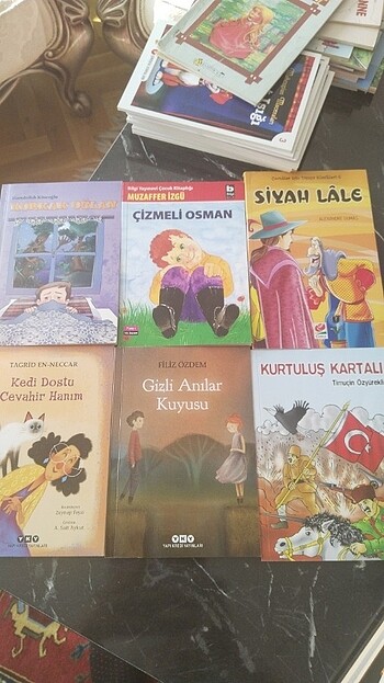 Kurtuluş Kartalı, Gizli Anılar Kuyusu, Kedi Dostu Cevahir Hanım,