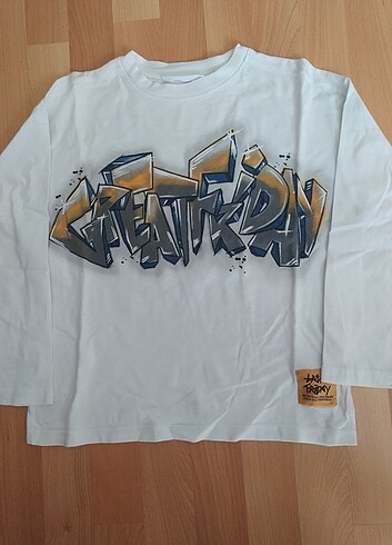 Zara Erkek Çocuk sweatshirt 