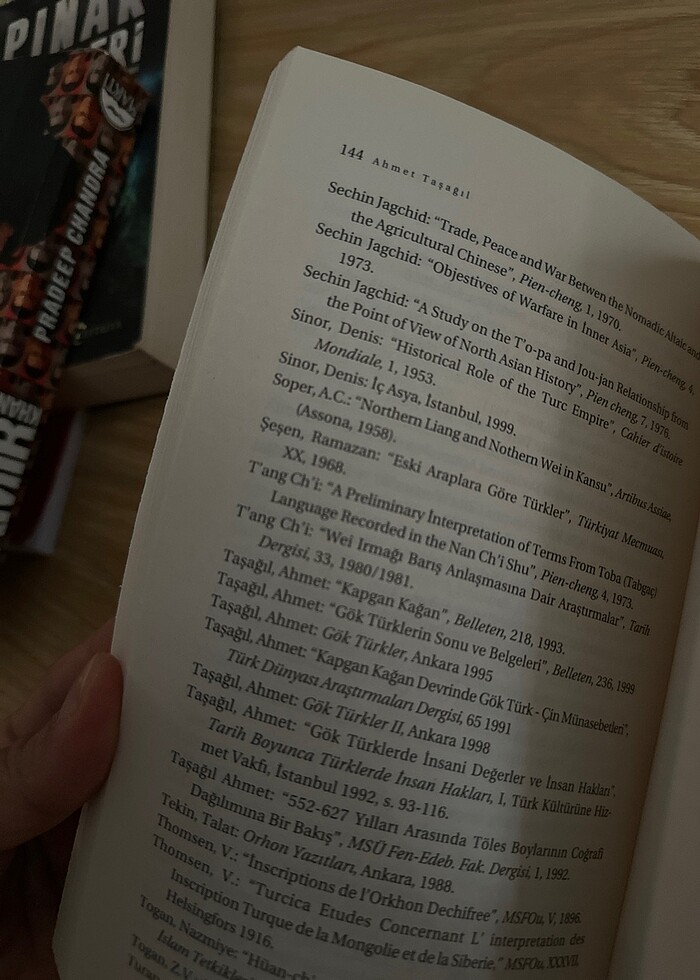 Türk kağanlığı - Görsel 2