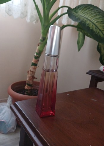 AVON SURRENDER