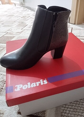 37 Beden Polaris bot