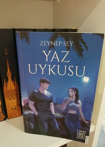 Zeynep Sey Roman Seti: Yaz Uykusu & Kış Güneşi