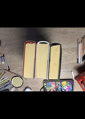 Shelby Mahurin  Üçlü Roman Seti ciltli yılan ve güvercin set - Görsel 6