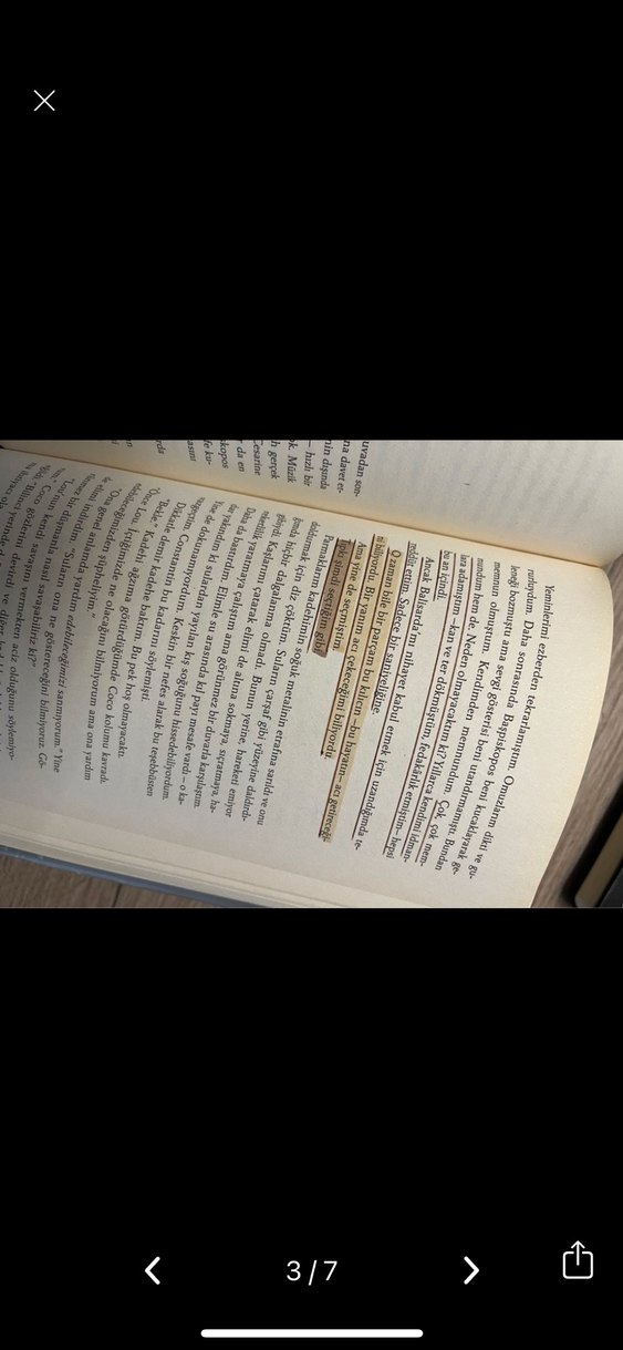 Shelby Mahurin  Üçlü Roman Seti ciltli yılan ve güvercin set - Görsel 3