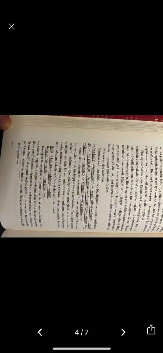 Shelby Mahurin  Üçlü Roman Seti ciltli yılan ve güvercin set - Görsel 4