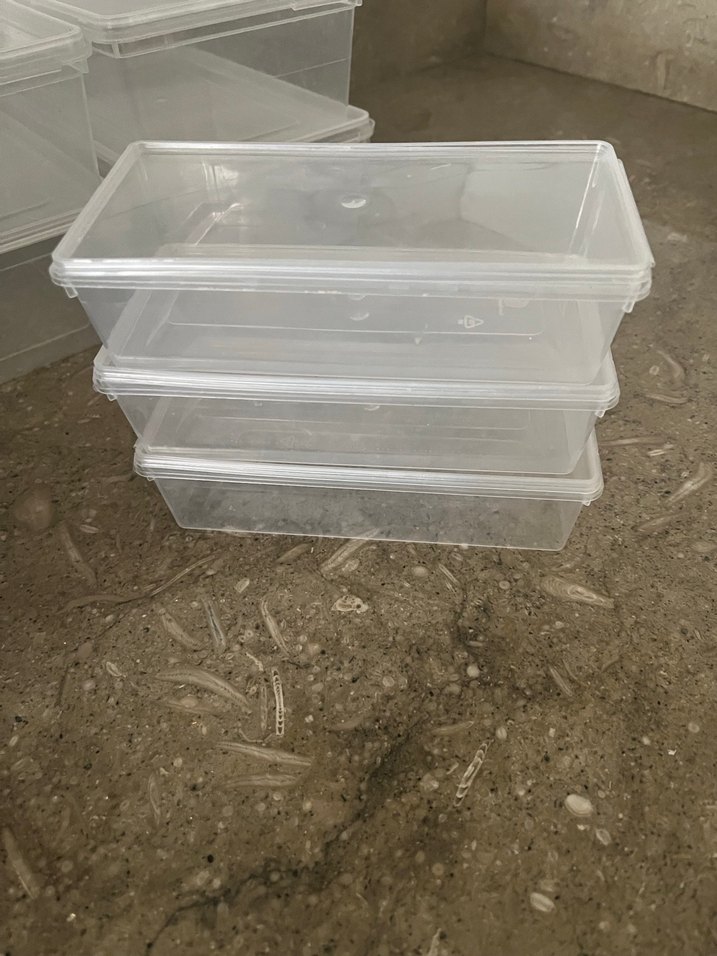 Siyah Kapaklı Şeffaf Saklama Kutuları - Görsel 4