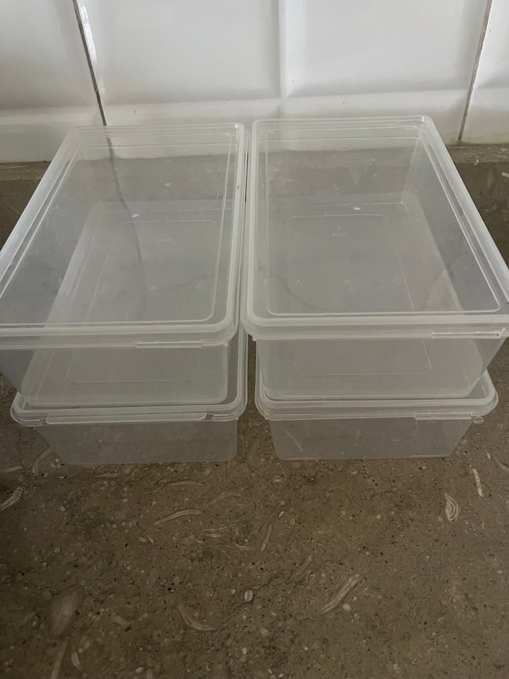 Siyah Kapaklı Şeffaf Saklama Kutuları - Görsel 5