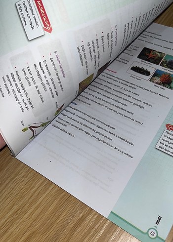 Çap yayınları 9.sınıf 2 fasikül bir arada - Görsel 2