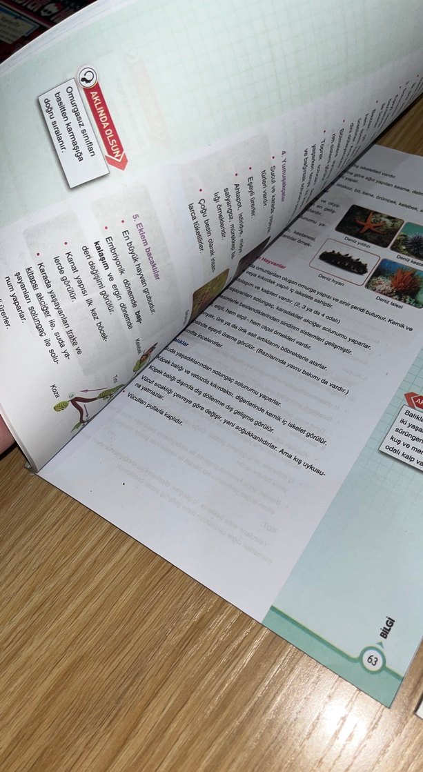 Çap yayınları 9.sınıf 2 fasikül bir arada - Görsel 2