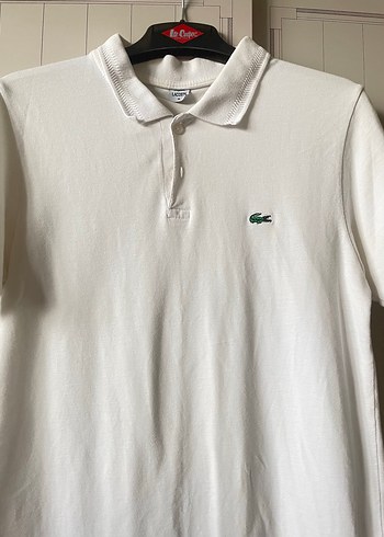 Beyaz Erkek Lacos - Görsel 3