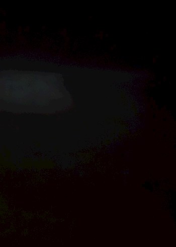 Beden Renk Siyah Makyaj Fırçası Tutucu