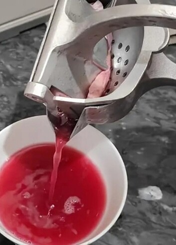 Beden Renk Narenciye sıkacağı