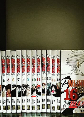 Bleach 10