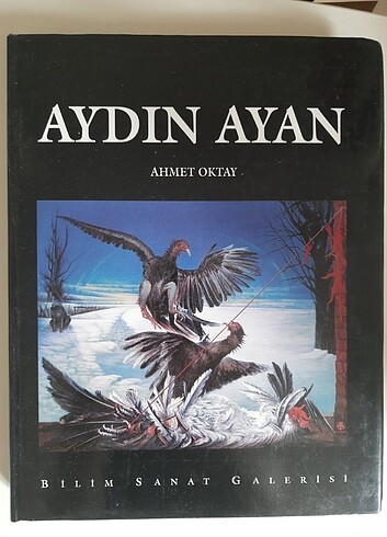 Aydın Ayan Ressam Yazan Ahmet Oktay