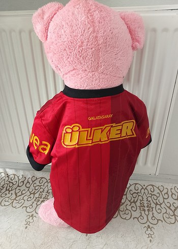 Pembe Peluş Ayı, Galatasaray Formasıyla - Görsel 3