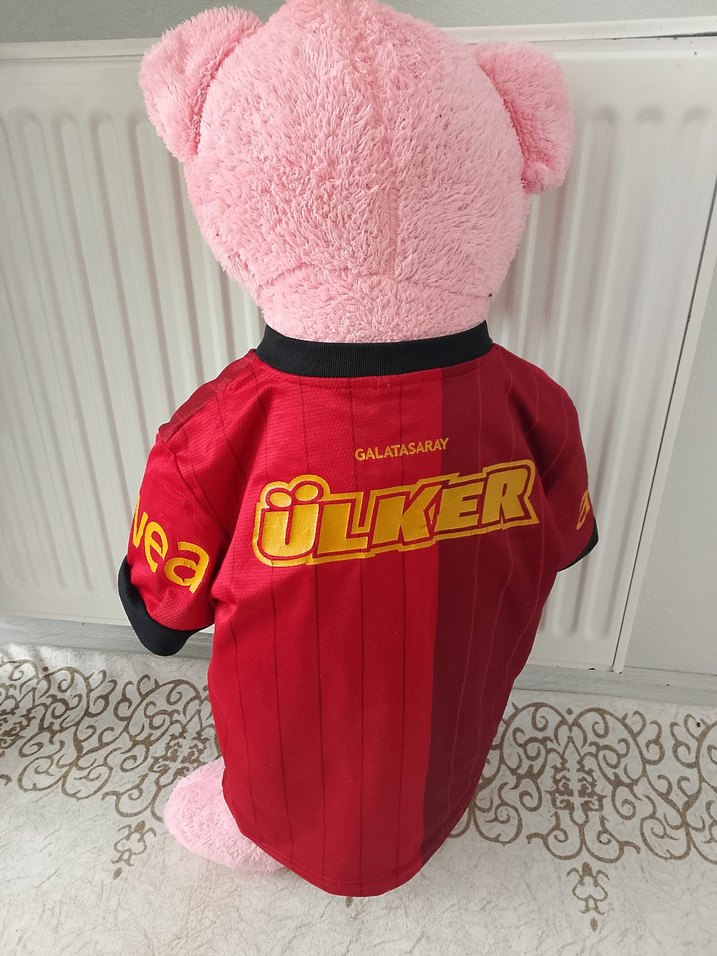 Pembe Peluş Ayı, Galatasaray Formasıyla - Görsel 3