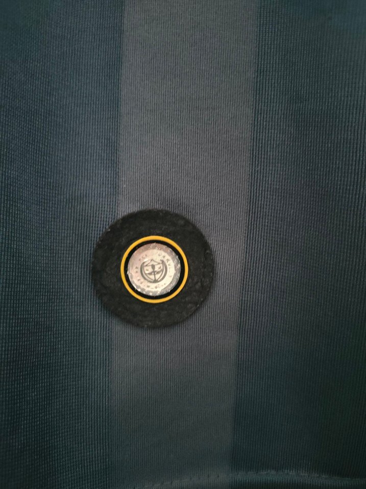 Fenerbahçe formasi - Görsel 3