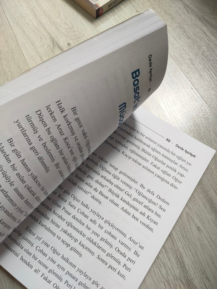 Çocuklar İçin Dede Korkut Kitabı - Görsel 2