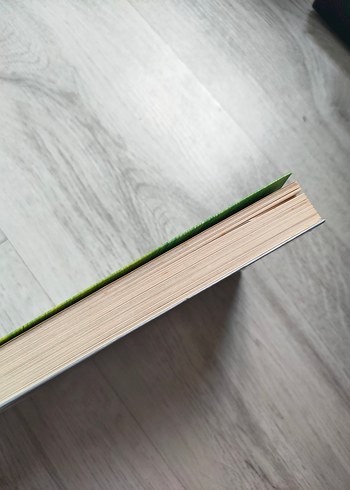 Yetişkinler Ejderhalardan Neden Korkar? - Görsel 3