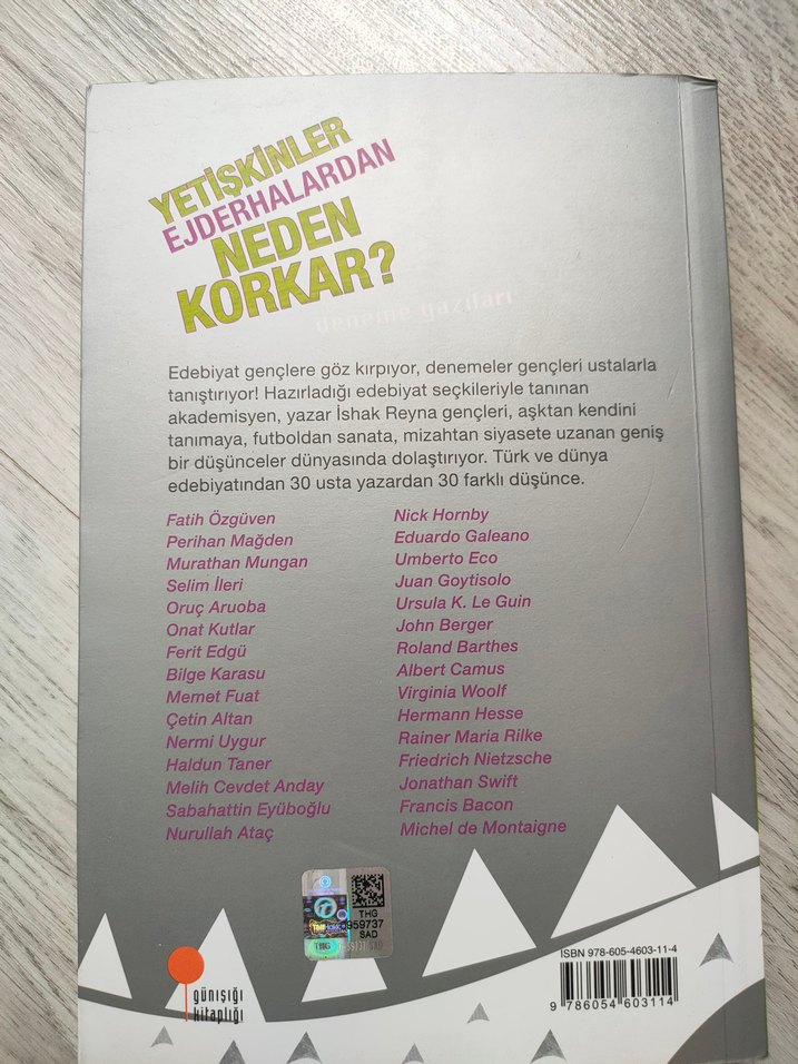 Yetişkinler Ejderhalardan Neden Korkar? - Görsel 2