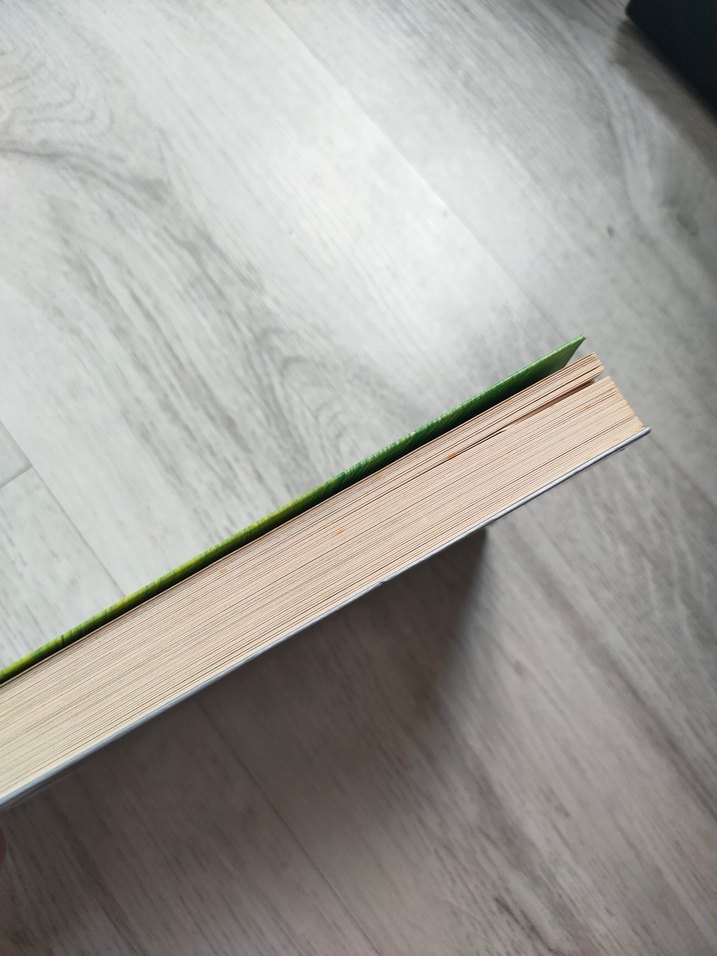 Yetişkinler Ejderhalardan Neden Korkar? - Görsel 3