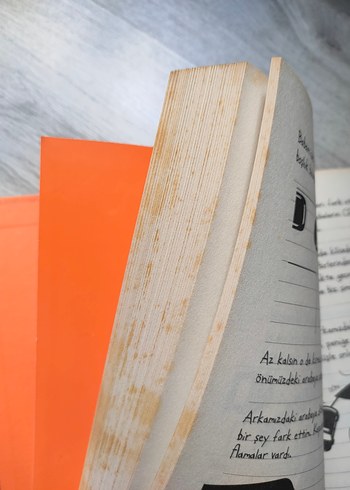 Saftirik Greg'in Günlüğü - Bende Bu Şans Varken! - Görsel 2