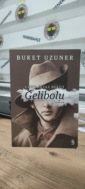 Gelibolu romanı