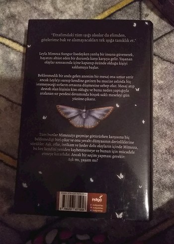 Mimoza - Işıl Su Gültekin - Görsel 2