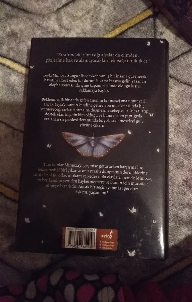 Mimoza - Işıl Su Gültekin - Görsel 2