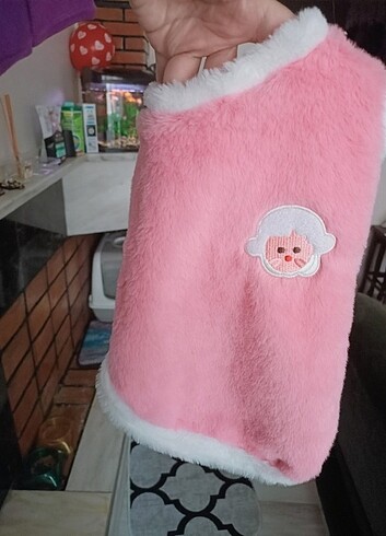 Kedi kıyafeti 