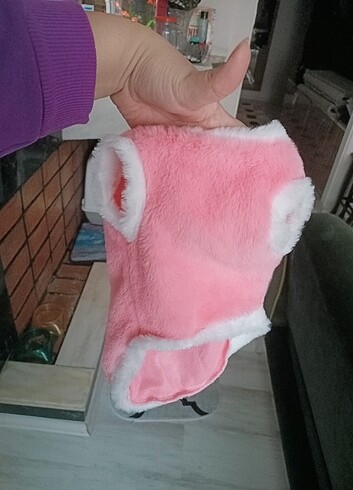  Kedi kıyafeti 