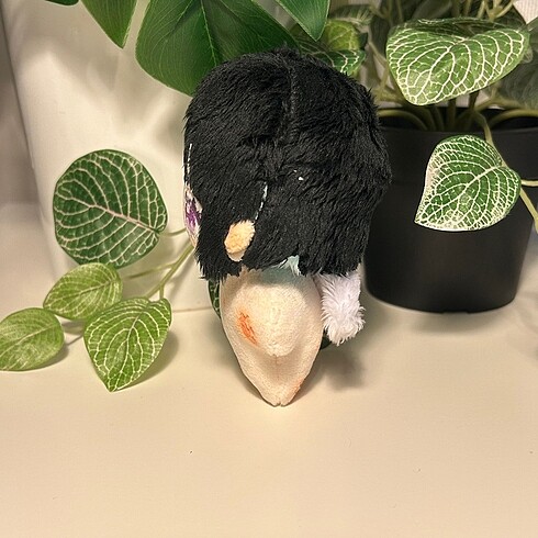  Sua bebek