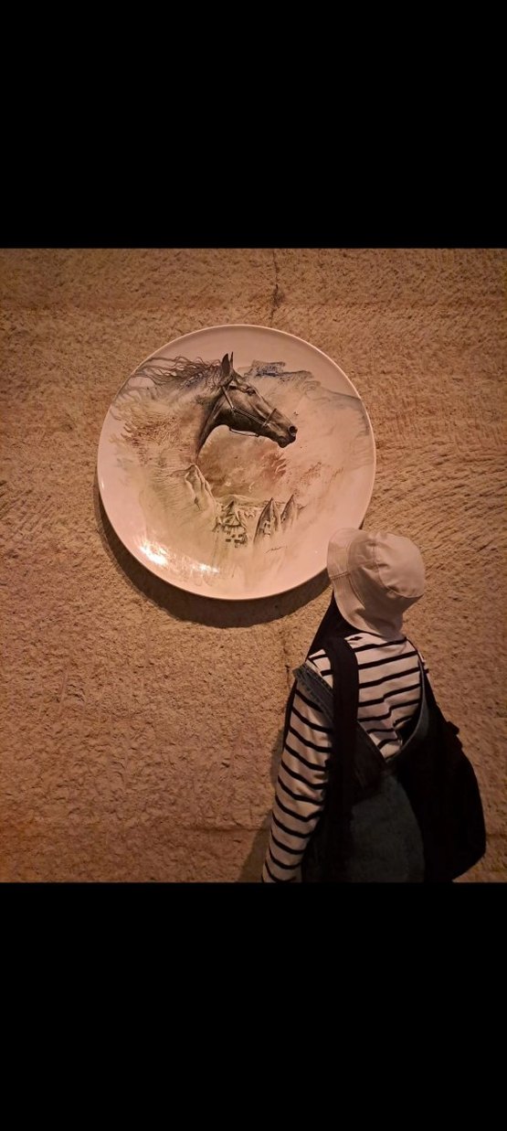 Mavi kot tulum - Görsel 3