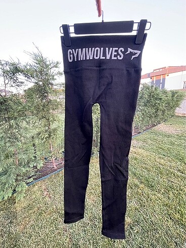 Diğer 3 tane gymwolves tayt