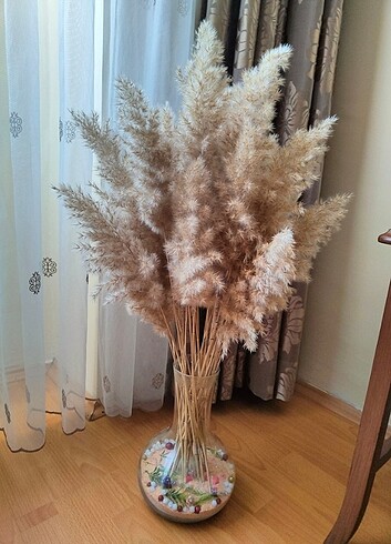 Pampas otu