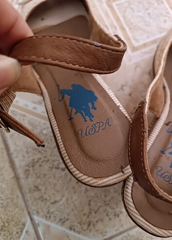 U.S Polo Assn. Orijinal polo
