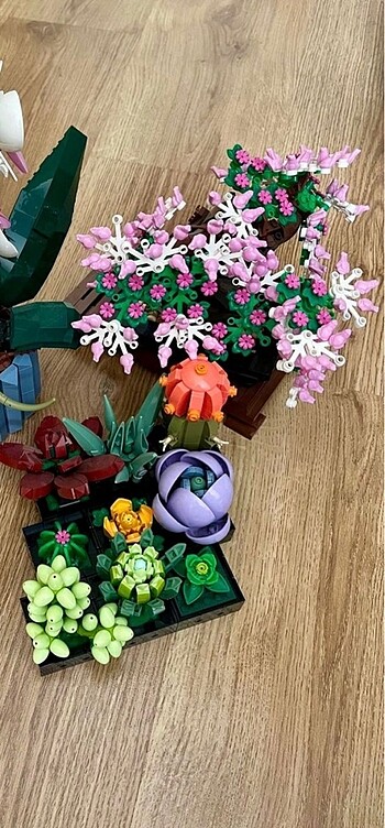 Lego Botanik Bonsai Sukulent