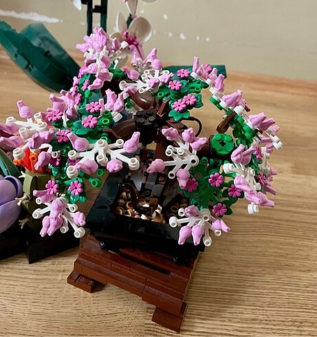 Diğer Lego Botanik Bonsai Sukulent