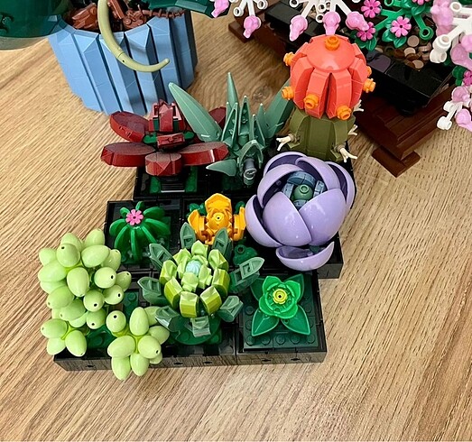 Beden Lego Botanik Bonsai Sukulent